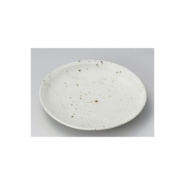 アースモス 美濃焼 丸皿（中） 白いらぼ7.0皿 (4個入)（直送品）