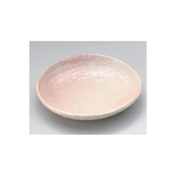 アースモス 美濃焼 フルーツ皿（丸） 桜志野5.0丸皿 (7個入)（直送品）