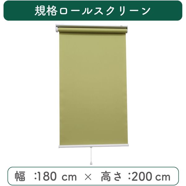 【規格品】遮光ロールスクリーン 幅180×高200cm（グリーン） 4975559789828 1セット トーソー（直送品）