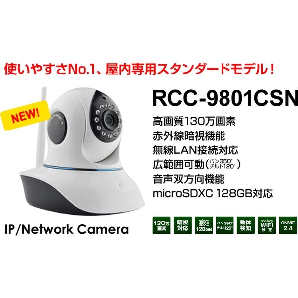 アールアイジャパン ネットワークカメラ RCC-9801CSN（直送品）