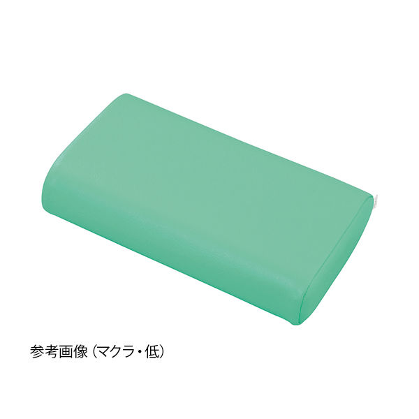 アズワン かどまるマクラ(中) ライトグリーン TPH-PG 1個 7-7494-04（直送品）