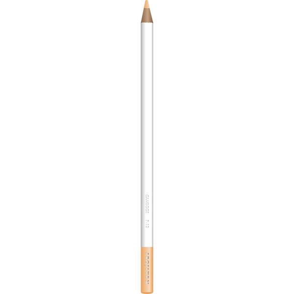トンボ鉛筆 色鉛筆 色辞典 単色 P13 梔子色 CI-RP13 6本（直送品）