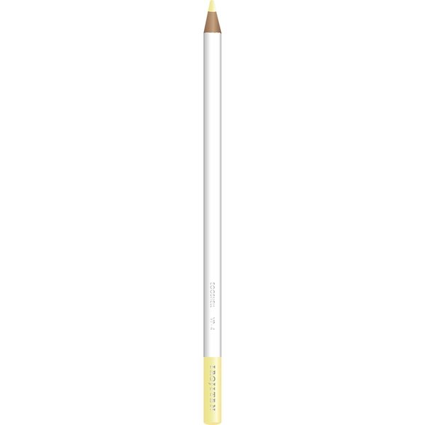トンボ鉛筆 色鉛筆 色辞典 単色 VP04 鳥の子色 CI-RVP4 6本（直送品）