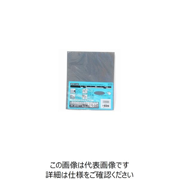三共理化学 耐水紙ヤスリ(袋入り) #600 1枚 63-3189-36（直送品）