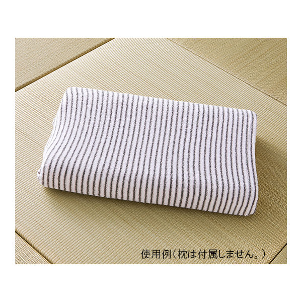 ハヤシ・ニット 紀州備長炭繊維 枕カバー 1枚入 フリーサイズ ピンク 6104 1枚 62-2991-69（直送品）