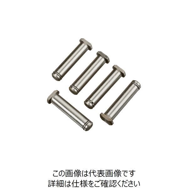 日本エマソン RIDGID Fー9ホイールピン(5個入り)F/42ーA 34780 1袋(5個) 149-5848（直送品）