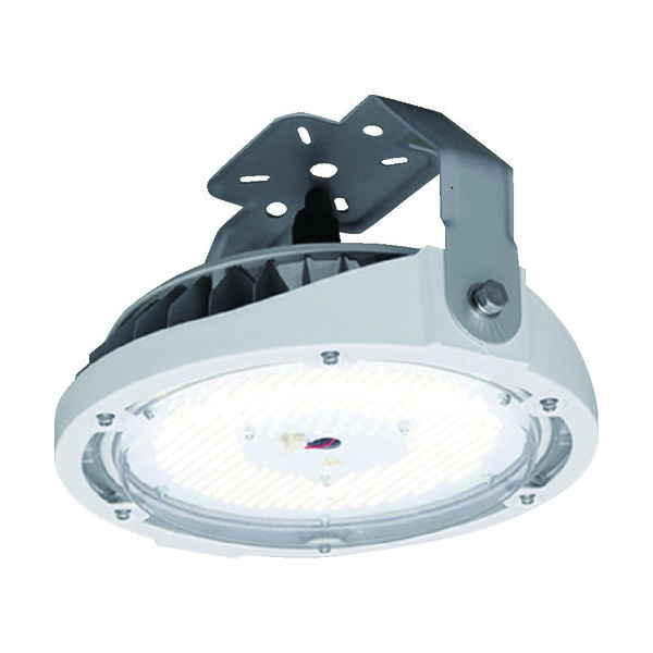 アイリスオーヤマ IRIS 高天井用LED照明 RZ180シリーズ 直付タイプ 15000lm LDRCL85N-110BS 1台(1個)（直送品）