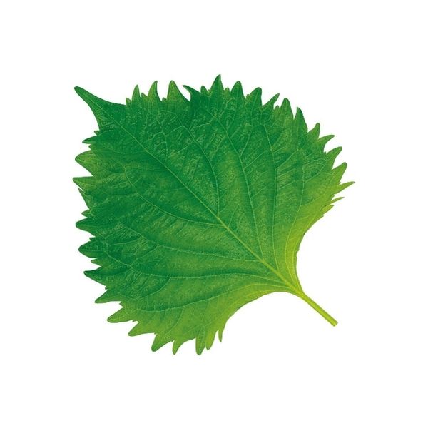 ユニバース グルメシート 大葉 丸 10101 1包装(1000枚入)（直送品）