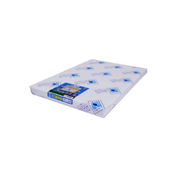 エコ画用紙4ツ切中厚口 105-4 200枚 エコガヨウシ4キリチユウアツ105-4 北越コーポレーション（直送品）