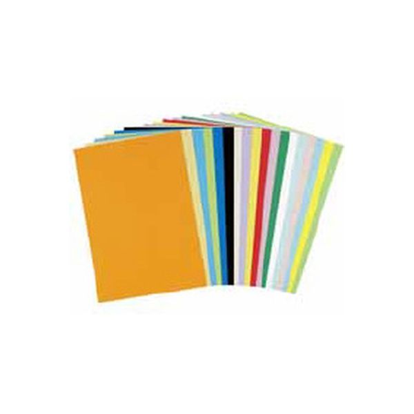 やよいカラー 4ツ切 たけ 100枚 ヤヨイカラー 4ツギリ タケ100マイ 北越コーポレーション（直送品）