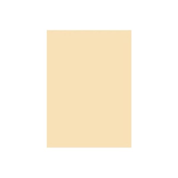 オフィス用紙カラーR100 A4アイボ500枚*5冊 リサイクル アイボリーA4 北越コーポレーション（直送品）