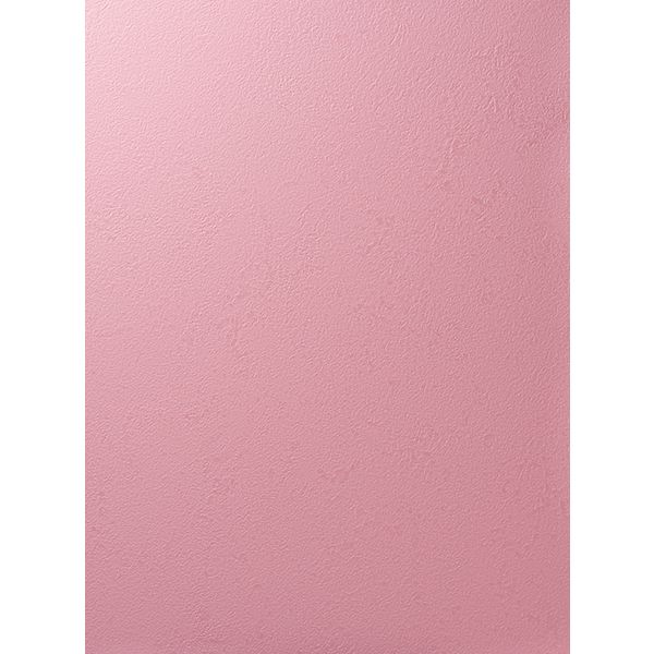 ルノン 壁紙 RF-6279-10M（直送品）