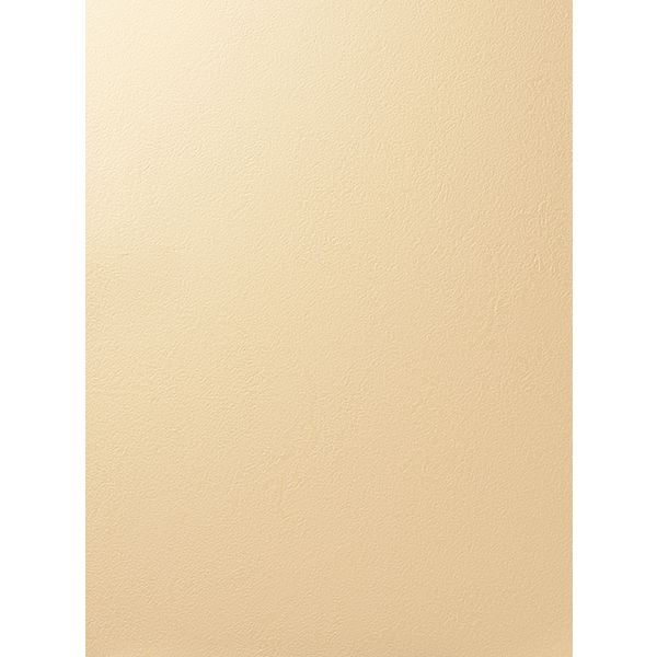 ルノン 壁紙 RF-6282-5M（直送品）