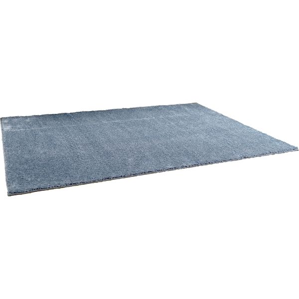 スミノエ BIG SIZE RUG イルミエ ラグ 防炎 アレルブロック 2000×2500mm ブルー 4549781206554 1枚（直送品）