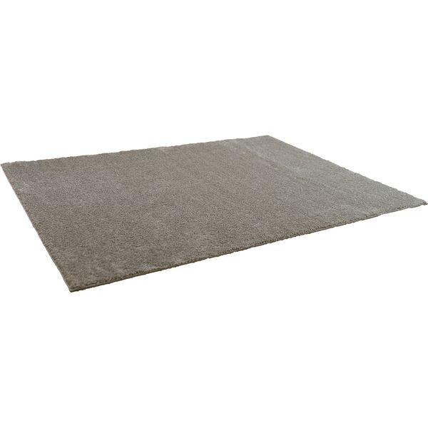 スミノエ BIG SIZE RUG イルミエ ラグ 防炎 アレルブロック 2610×3520mm ベージュ 4549781206523 1枚（直送品）