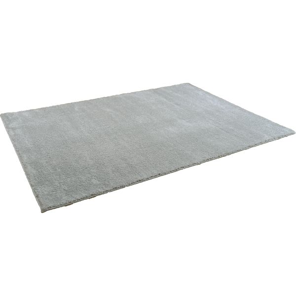 スミノエ BIG SIZE RUG イルミエ ラグ 防炎 アレルブロック 2000×2000mm シルバー 4549781206646 1枚（直送品）