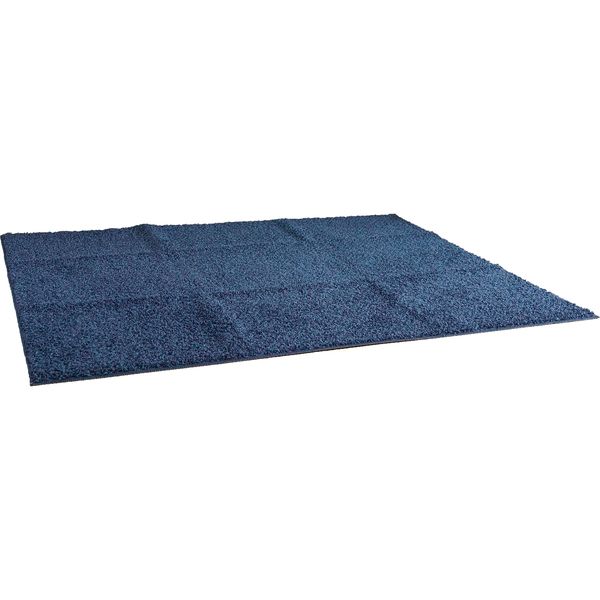 スミノエ FIT SIZE RUG ミランジュ ラグ 防ダニ 900×1300mm ブルー 4549781207230 1枚（直送品）