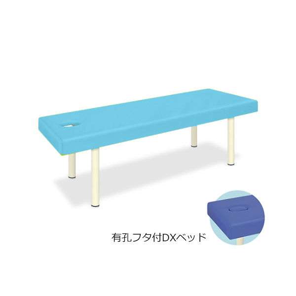 高田ベッド製作所 有孔フタ付DXベッド 幅65×長さ180×高さ60cm スカイブルー TB-581 1個 61-3459-77（直送品）