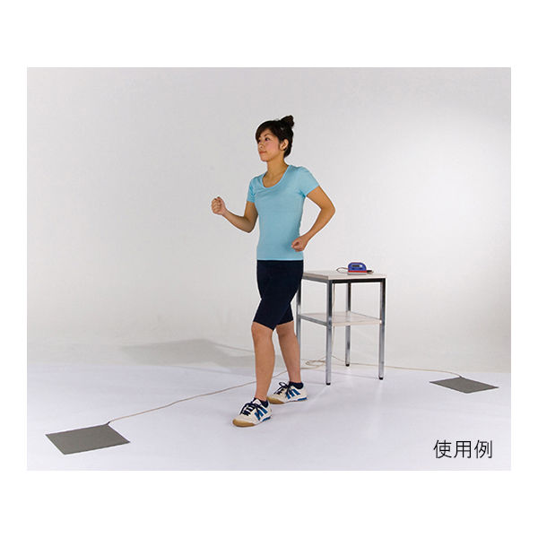 竹井機器工業 歩行速度測定用マット T.K.K.5807 1枚 62-1612-06（直送品）