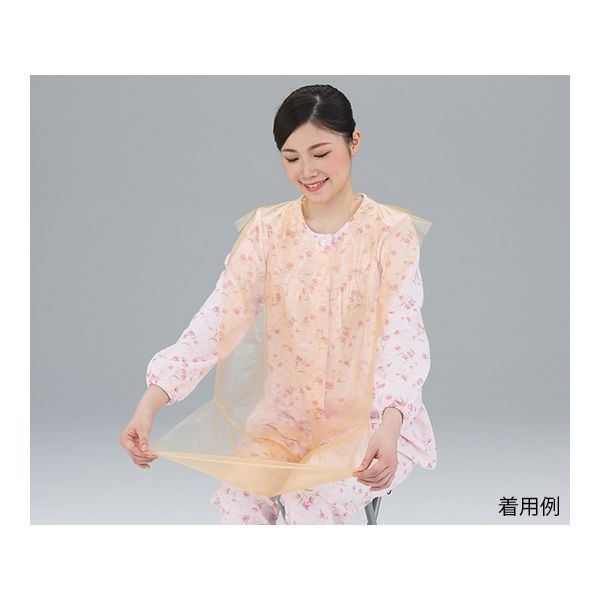 イワツキ ポケロン 10枚 007-70138 1袋(10枚) 61-9987-79（直送品）