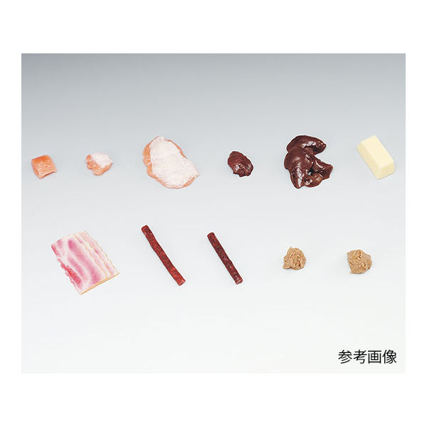 イワイサンプル フードモデル（獣鳥肉類） 若とりむね肉（皮付き）15g 5-97 1個 62-8600-68　　ナビスカタログ（直送品）