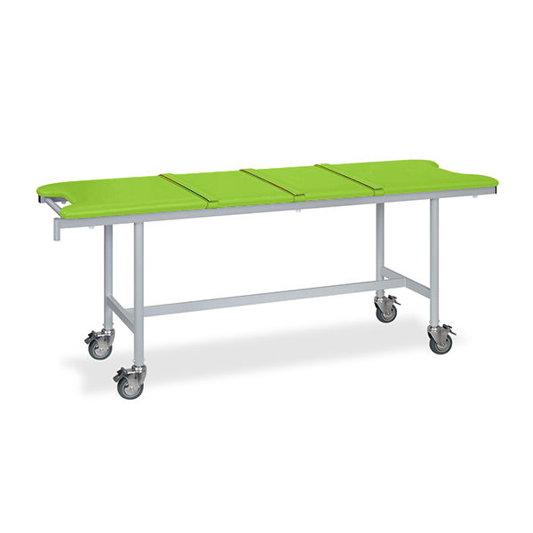 高田ベッド製作所 アルミストレッチャー100(ベルト付き) 幅65×長さ180×高さ85cm 抹茶 TB-1351 1個（直送品）