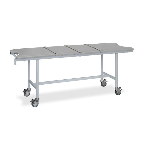 高田ベッド製作所 アルミストレッチャー100(ベルト付き) 幅65×長さ190×高さ70cm グレー TB-1351 1個（直送品）