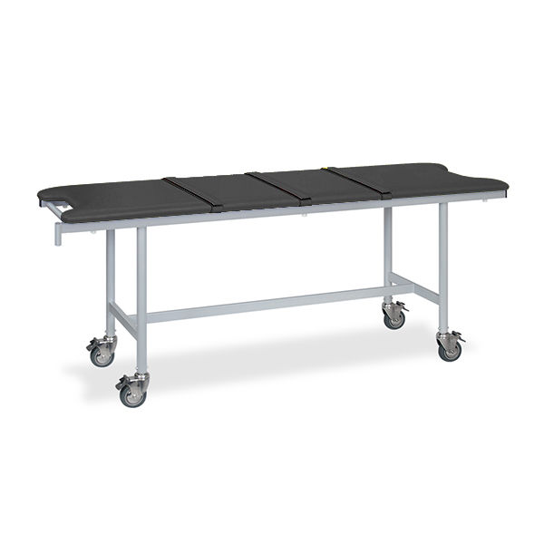 高田ベッド製作所 アルミストレッチャー100(ベルト付き) 幅65×長さ180×高さ75cm 黒 TB-1351 1個 62-5029-13（直送品）