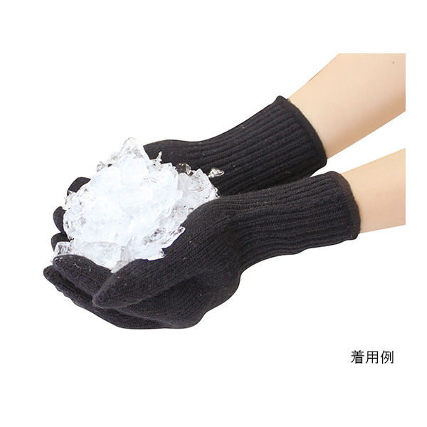 ハヤシ・ニット あったか手袋 1組入 L ブラック 3900 1組(1双) 62-2991-78（直送品）