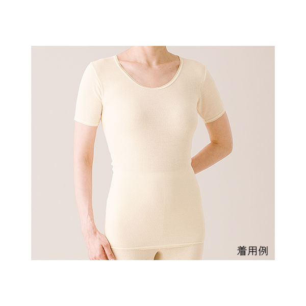ハヤシ・ニット リブ調キルト 婦人半袖インナー 1枚入 L ベージュ 3332 1枚 62-2992-03（直送品）