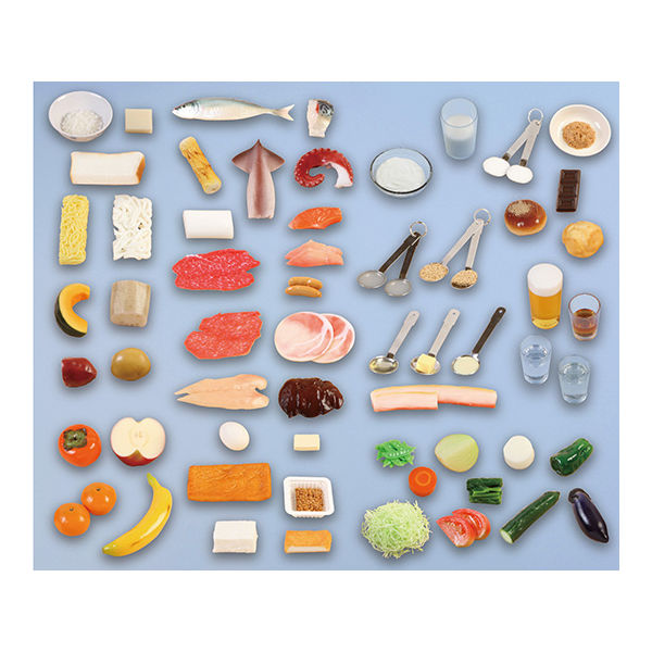 いわさき 80キロカロリーフードモデル60 IGF-011 1式 62-1626-83（直送品）