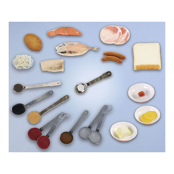 いわさき 食塩1gの食品モデル IGF-012 1式 62-1626-84（直送品）