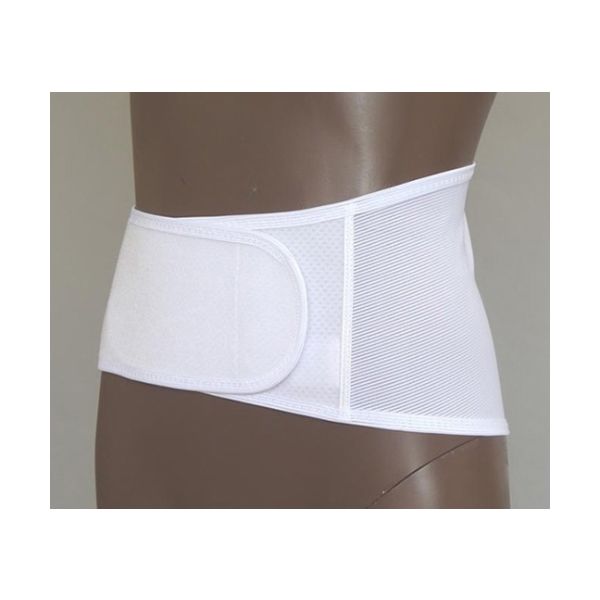 日本衛材 ランベルト A1 M 1個 NE-2163 61-8511-74（直送品）