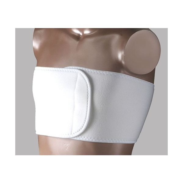 日本衛材 バストタイFX L 1個 NE-653 61-8511-58（直送品）