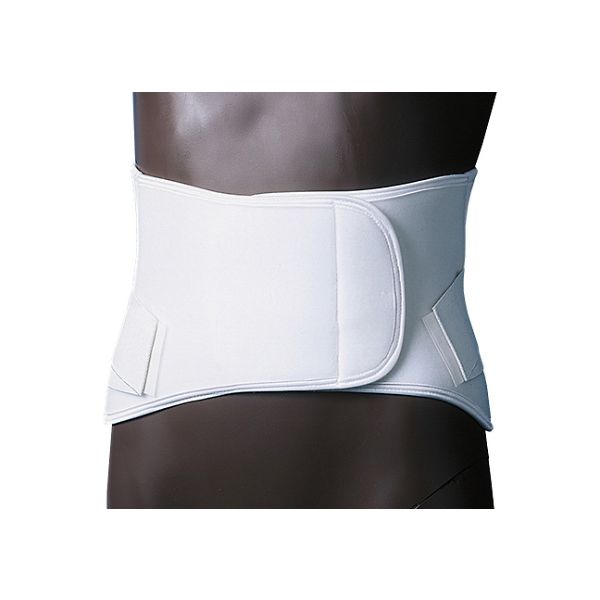 日本衛材 ウエストタイDX 3L 1個 NE-525 61-8510-49（直送品）