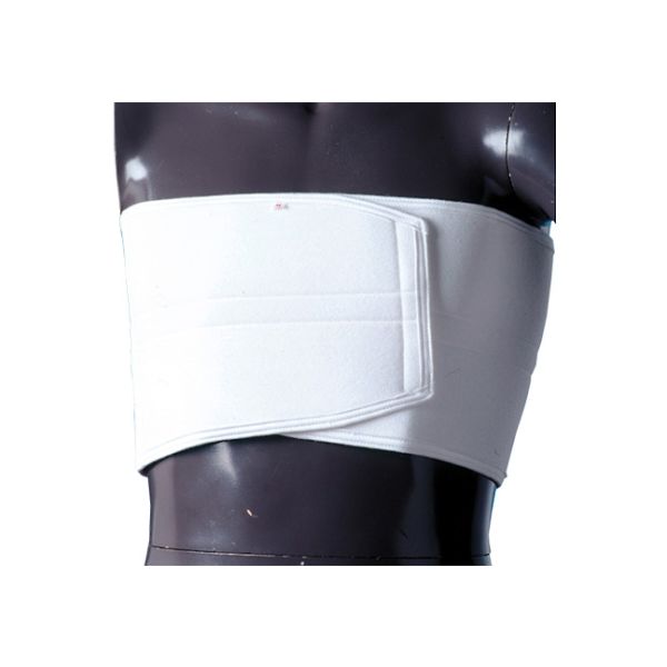 日本衛材 バストタイ L 1個 NE-603 61-8510-72（直送品）