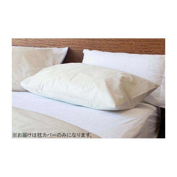 Conni 防水枕カバー PC-5075-1 1枚 62-7115-04（直送品）