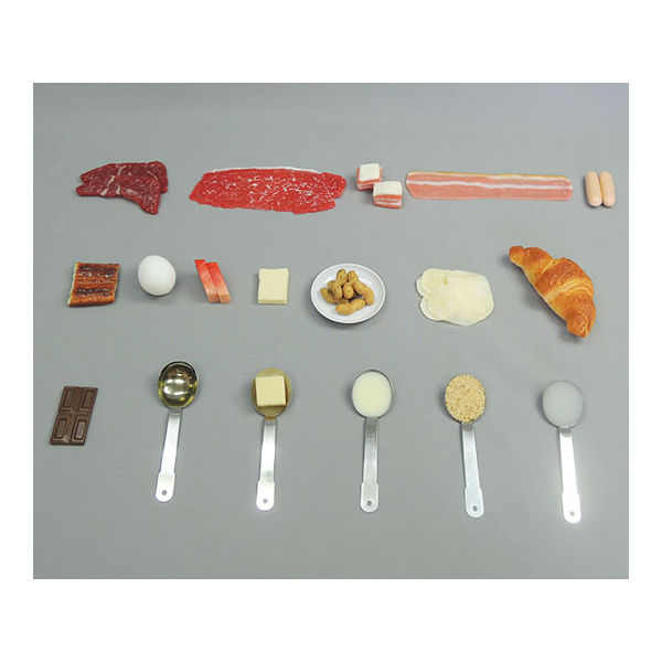 イワイサンプル フードモデル　ナビスカタログ