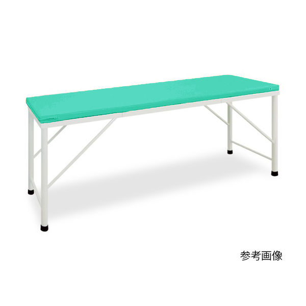 高田ベッド製作所 処理台 幅55×長さ180×高さ60cm ライトグリーン TB-367 1台 62-8653-76（直送品）