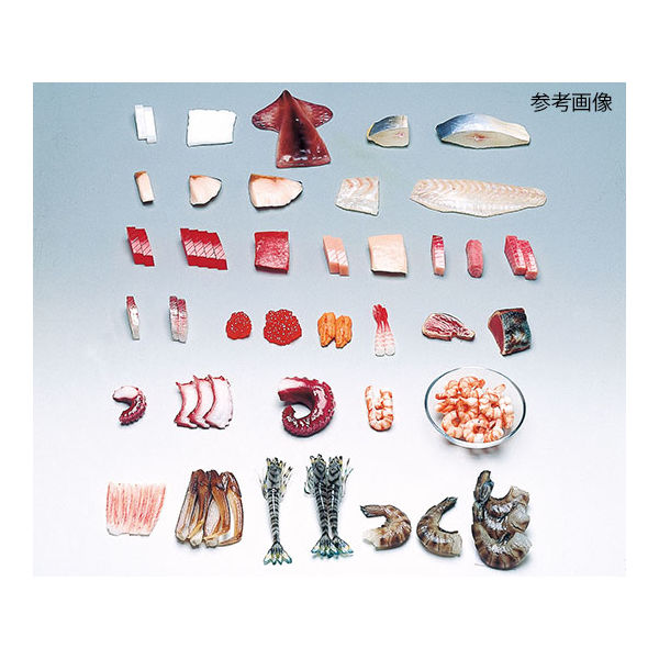 イワイサンプル フードモデル(魚介類) ひらめ(天然)30g 4-50 1個 62-8598-44（直送品）