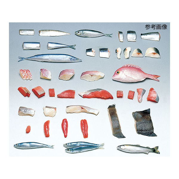 イワイサンプル フードモデル(魚介類) さば40g 4-5 1個 62-8597-87（直送品）