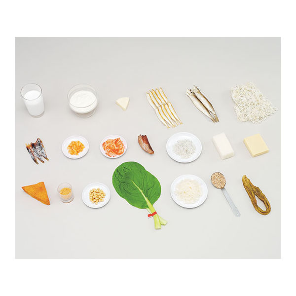 イワイサンプル フードモデル カルシウムを多く含む食材 73 1セット 62-8602-21（直送品）