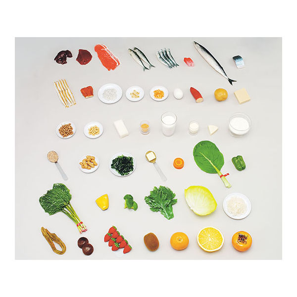 イワイサンプル フードモデル ビタミン・ミネラルを多く含む食品 43 1セット 62-8602-15（直送品）