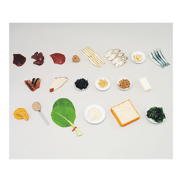 イワイサンプル フードモデル 鉄分を多く含む食品(食材) 70 1セット 62-8602-20（直送品）