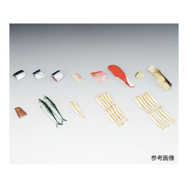 イワイサンプル フードモデル(魚介類) さんま40g 4-153 1個 62-8598-27（直送品）
