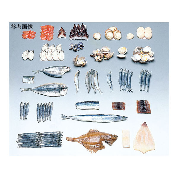 イワイサンプル フードモデル(魚介類) とりがい70g 4-83 1個 62-8598-90（直送品）
