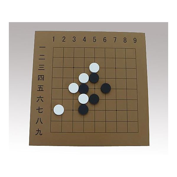 アズワン 屋内教具 8-3898-01 1個（直送品）