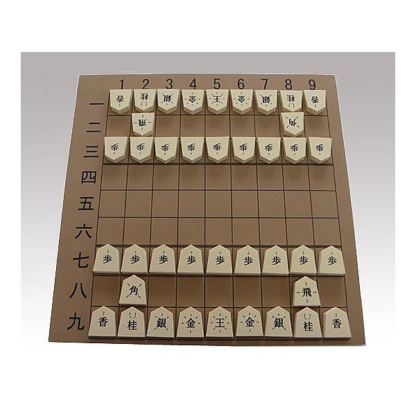 アズワン 屋内教具 8-3898-02 1個（直送品）