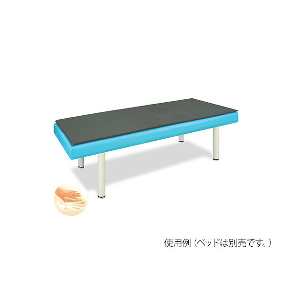 高田ベッド製作所 低反発マット 幅65×長さ190×厚み2cm TB-1238 1