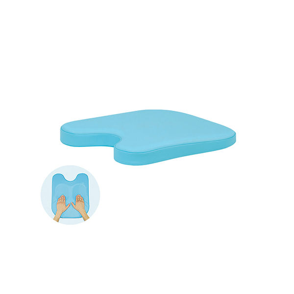 高田ベッド製作所 薄型ケアーバスト 幅42×奥行40×高さ3/8cm スカイブルー TB-77C-73 1個 63-0986-22（直送品）